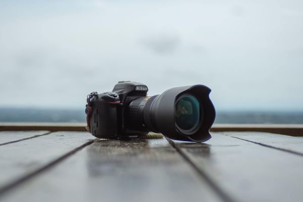 Long Range Nikon Lens: The Top 5 Choices for Wildlife Photography
