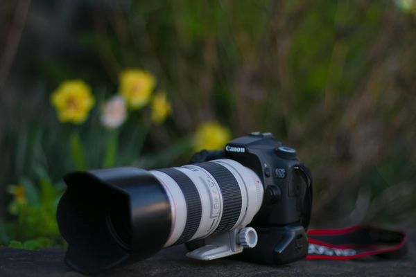 Long Range Canon Lens:
Top Picks for Professional Photography